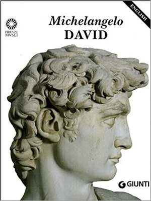 Michelangelo: David by Michelangelo Buonarroti, Laura Ciuccetti