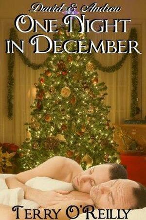 One Night in December by Terry O'Reilly
