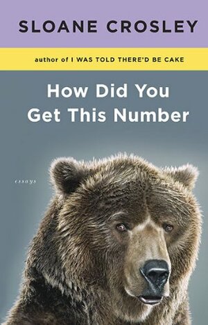 How Did You Get This Number by Sloane Crosley