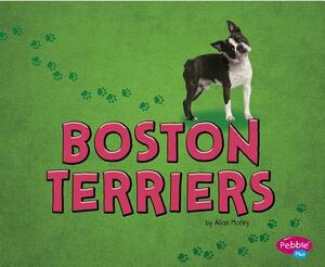 Boston Terriers by Allan Morey