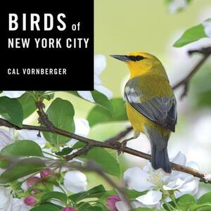 Birds of New York City by Cal Vornberger