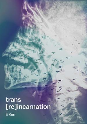 Trans [re]incarnation by E. Kerr