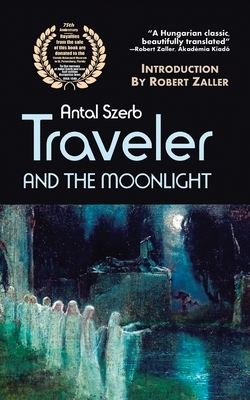 Traveler and the Moonlight by 