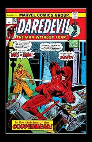 Daredevil (1964-1998) #124 by Len Wein