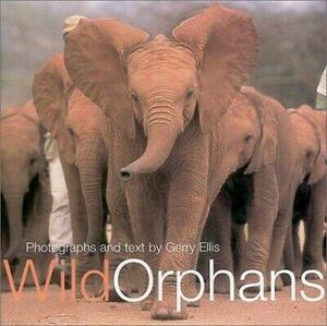Wild Orphans by Gerry Ellis