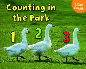 Counting at the Park by Rebecca Rissman