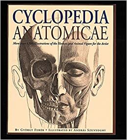 Cyclopedia Anatomicae: More Than 1,500 Illustrations of the Human and Animal Figure for the Artist by András Szunyoghy, György Fehér