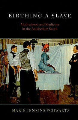 Birthing a Slave: Motherhood and Medicine in the Antebellum South by Marie Jenkins Schwartz