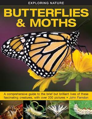 Exploring Nature: Butterflies & Moths: A Comprehensive Guide to the Brief But Brilliant Lives of These Fascinating Creatures, with Over 200 Pictures by John Farndon