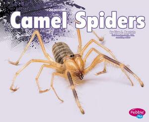 Camel Spiders by Nikki Bruno Clapper