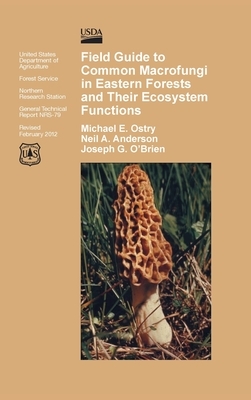 Field Guide to Common Macrofungi in Eastern Forests and Their Ecosystem Function by Michael E. Ostry