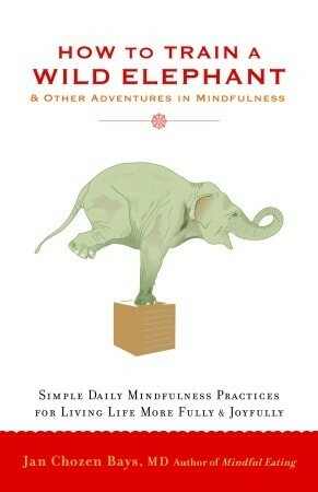 How to Train a Wild Elephant: And Other Adventures in Mindfulness by Jan Chozen Bays