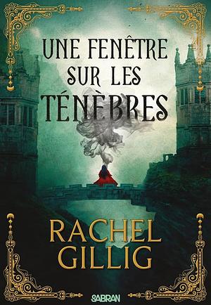 Une fenêtre sur les ténèbres by Benjamin Peylet, Rachel Gillig