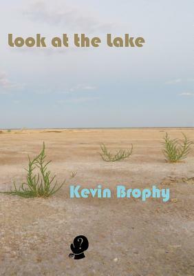 Look at the Lake by Kevin Brophy