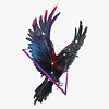 siriusstarr's profile picture