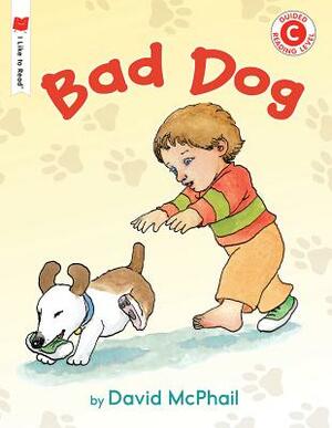 Bad Dog by David M. McPhail