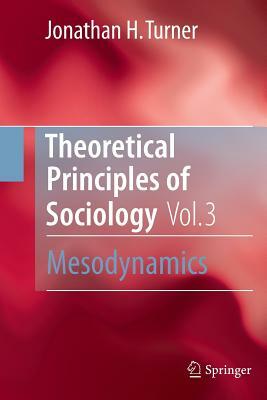 Theoretical Principles of Sociology, Volume 3: Mesodynamics by Jonathan H. Turner