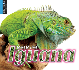 Iguana by Jared Siemens