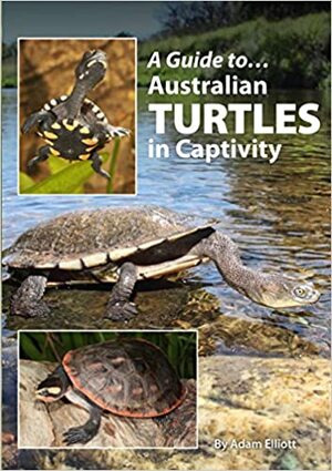 A Guide to Australian Turtles in Captivity by Adam Elliott