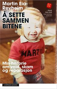 Å sette sammen bitene by Martin Eia-Revheim