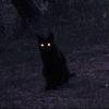cursedlibra's profile picture