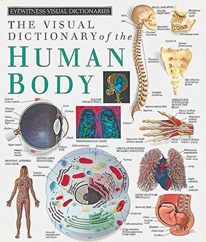 Human Body by Duncan Brown, Simone End, Chez Picthall, Nicki Liddiard, Bryn Walls, Mary Lindsay