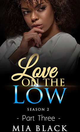 Love On The Low Season 2: Part 3 by Mia Black