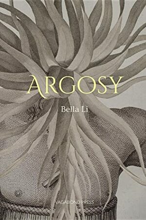 Argosy by Bella Li