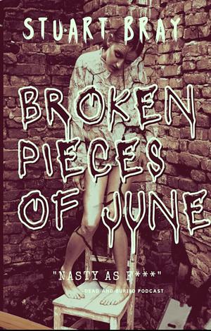 Broken pieces of June by Stuart Bray