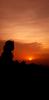 medini_l's profile picture