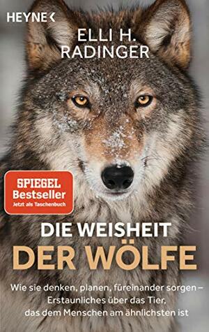 Die Weisheit der Wölfe: Wie sie denken, planen, füreinander sorgen. Erstaunliches über das Tier, das dem Menschen am ähnlichsten ist by Elli H. Radinger