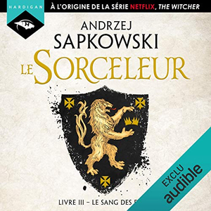 Sorceleur/The Witcher T.3 : Le sang des elfes by Andrzej Sapkowski