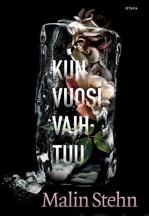 Kun vuosi vaihtuu by Malin Stehn