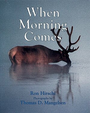 When Morning Comes by Ron Hirschi