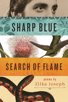 Sharp Blue Search of Flame by Zilka Joseph