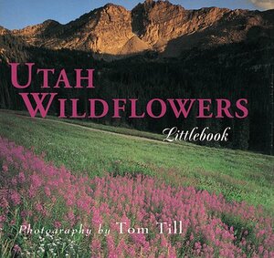 Utah Wildflowers by Tom Till