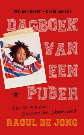 Dagboek van een puber by Raoul de Jong