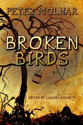 Broken Birds by Peter Molnar