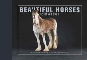 Beautiful Horses Postcard Book: 30 Postcards of Champion Breeds to Keep or to Send by Liz Wright