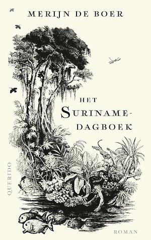 Het Surinamedagboek by Merijn de Boer