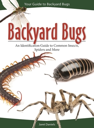 Backyard Bugs: An Identification Guide to Common Insects, Spiders and More by Jaret C. Daniels