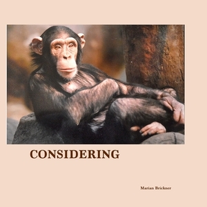 Considering by Marian Brickner