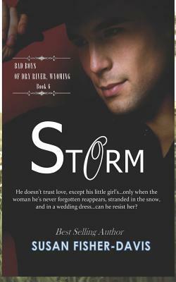 Storm Bad Boys of Dry River, Wyoming Book 6 by Susan Fisher-Davis