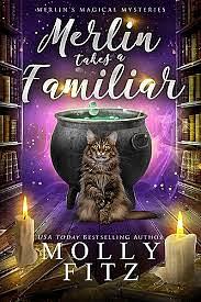 Merlin Takes a Familiar by Molly Fitz