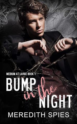 Bump in the Night by Meredith Spies
