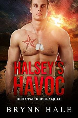 Halsey's Havoc: Curvy Woman and Soldier of Fortune Romance by Brynn Hale