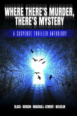 Where There's Murder, There's Mystery: A Suspense Thriller Anthology by Hunter Marshall, Linda Burson, Marsha Black