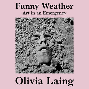 Funny Weather: Art in an Emergency by Olivia Laing