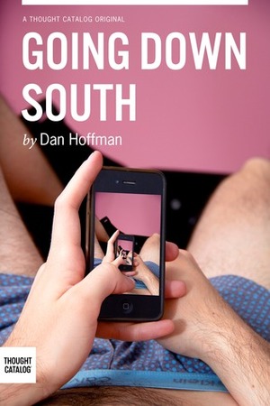 Going Down South by Dan Hoffman