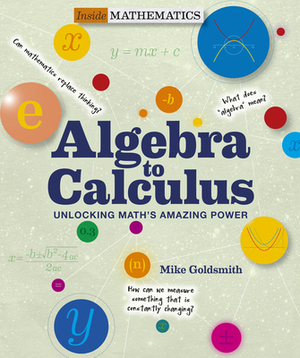 Algebra to Calculus: Unlocking Math's Amazing Power by Mike Goldsmith